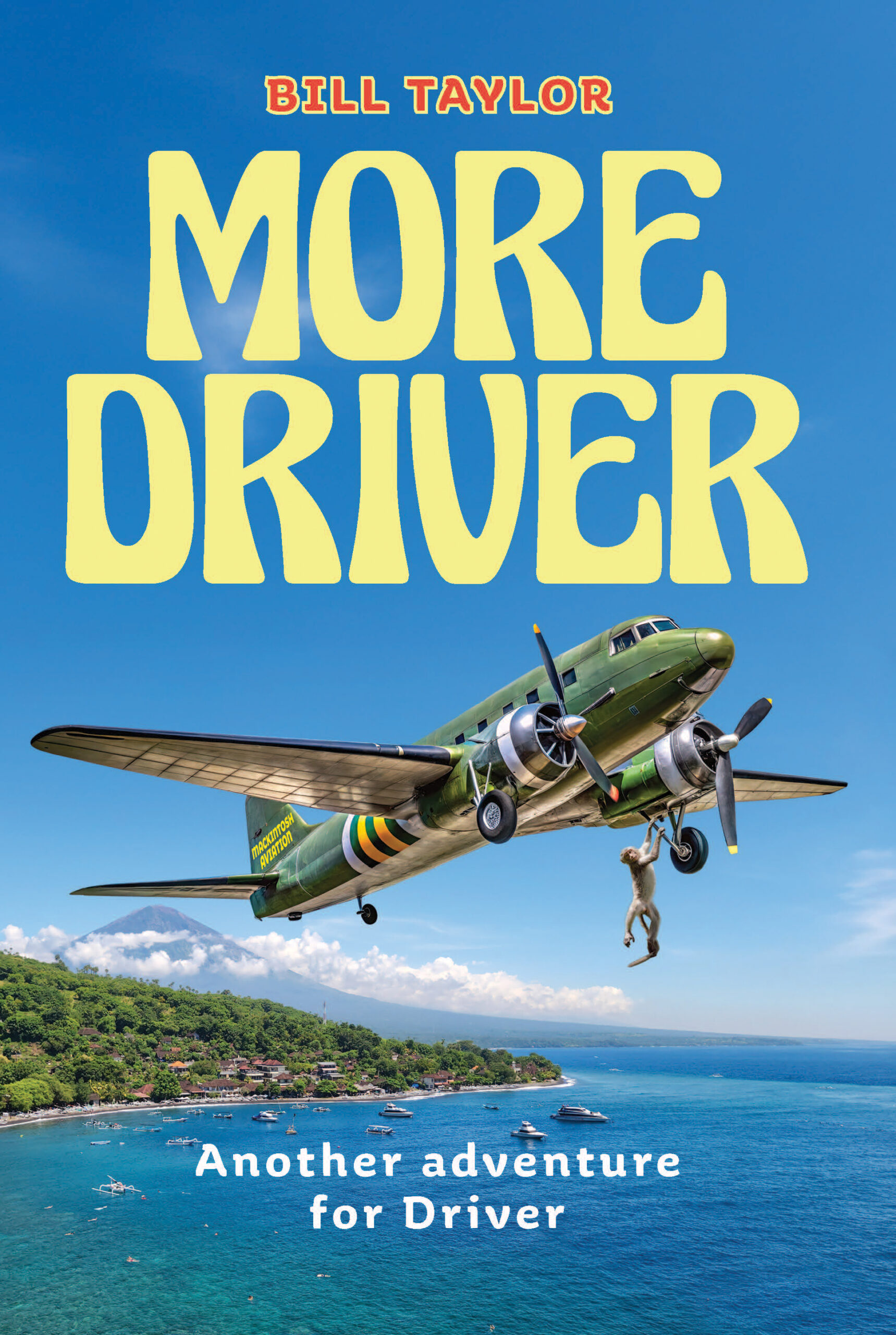 Driver’s Holiday Book Cover