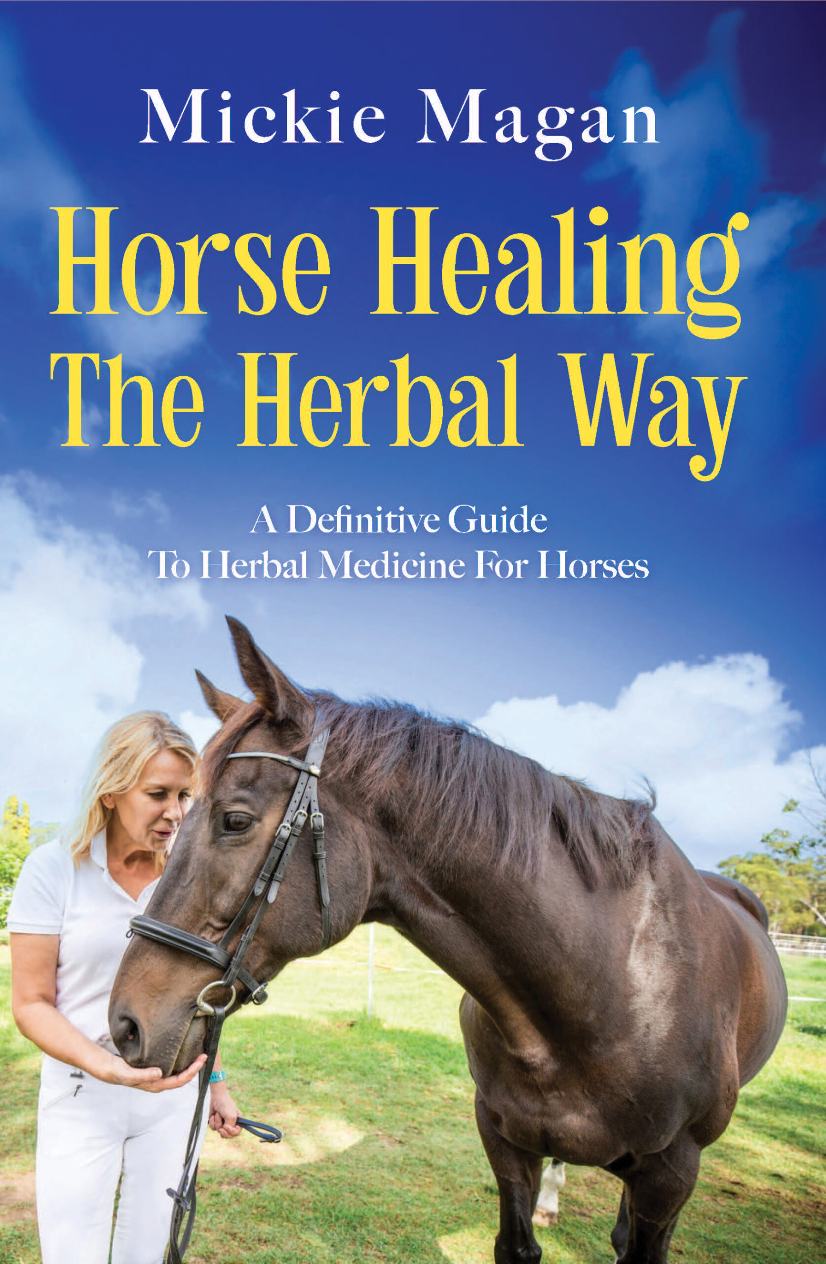 9781923589605_CVR Little Book of Big Book Marketing Tips book cover