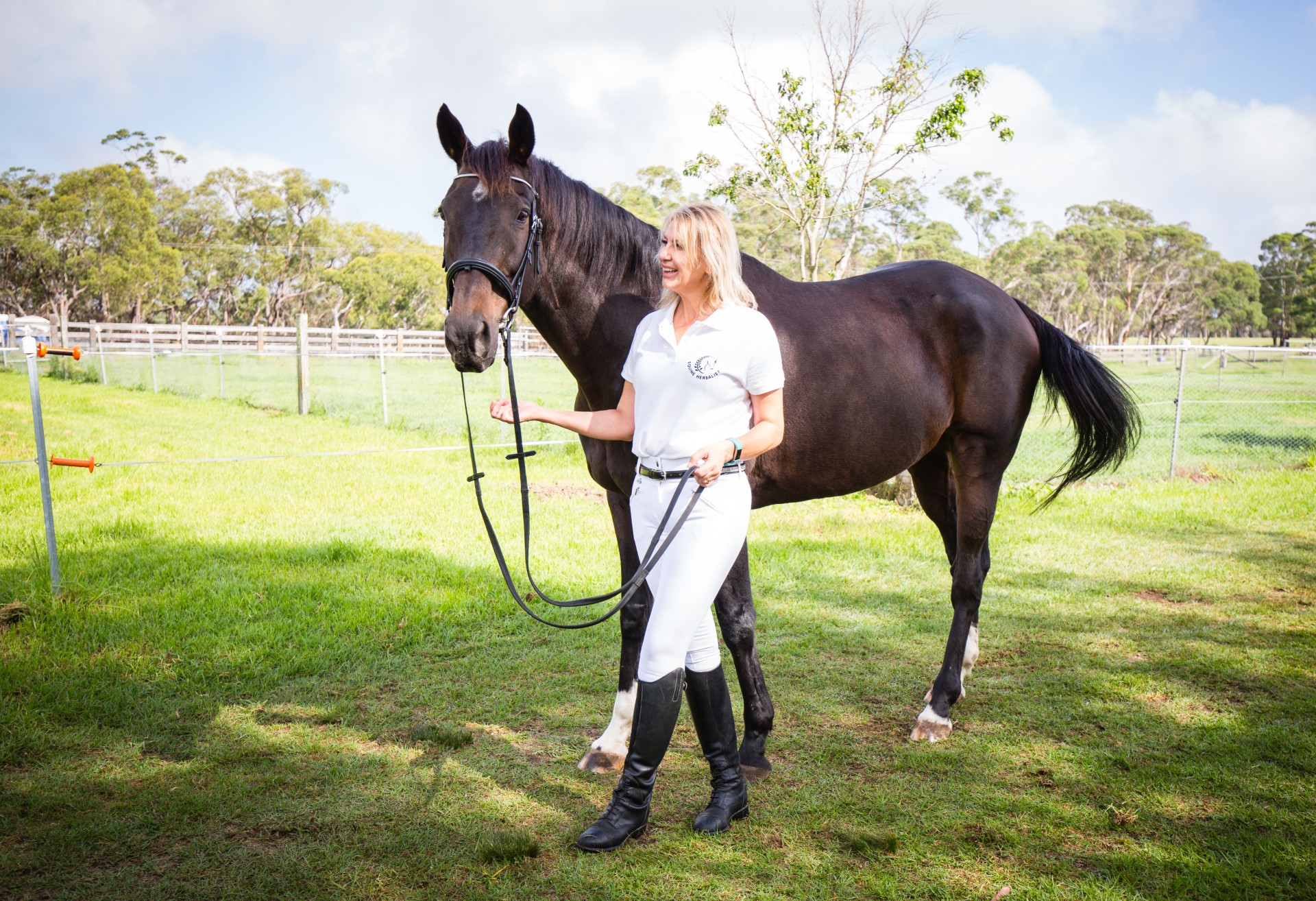 Little Book of Big Book Marketing Tips book cover